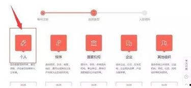 头条号简介都写什么,简介背后的精彩故事