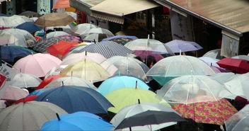 重庆网友爆料雨伞视频,暴雨中伞舞飞扬，城市街头成“伞海”