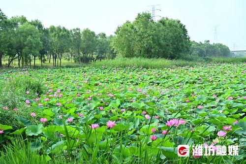 漯河荷花路新闻头条,事故现场紧急救援，交通管制持续中