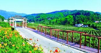 贵阳红岩公园新闻头条,打造城市绿肺新地标