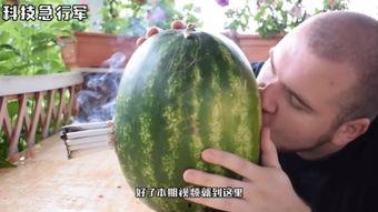 海外免费吃瓜,一场跨国美食狂欢之旅