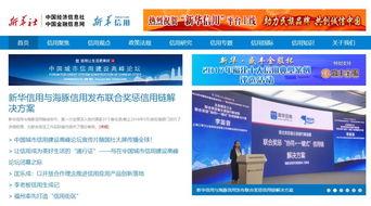 新华网官方头条,聚焦重大时事，解码国家发展新篇章