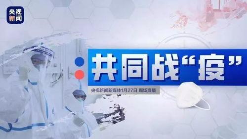 万赛维影响网织红,揭秘影响网织红生成的关键因素