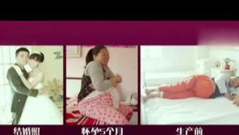 娱乐君吃瓜老绵羊视频在线观看,揭秘老绵羊视频背后的精彩故事